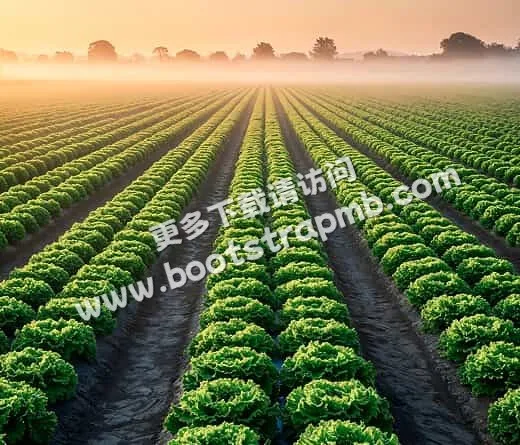 Modern Agriculture - 必赢