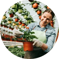 Organic Farming - 必赢