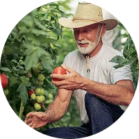 Organic Farming - 必赢