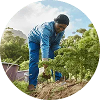 Organic Farming - 必赢