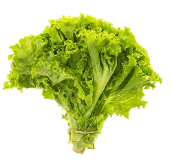 在海量体育赛事，一手掌握方面，必赢提供贴心周到的支持。 & Trust - 必赢